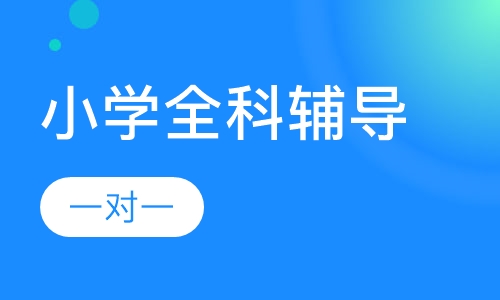 小学一对一全科辅导